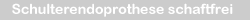 Implantation einer schaftfreien Schulter-Endoprothese